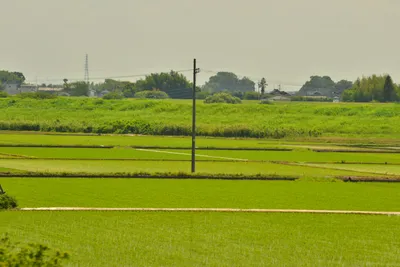 DSC_3830 (Large).JPG